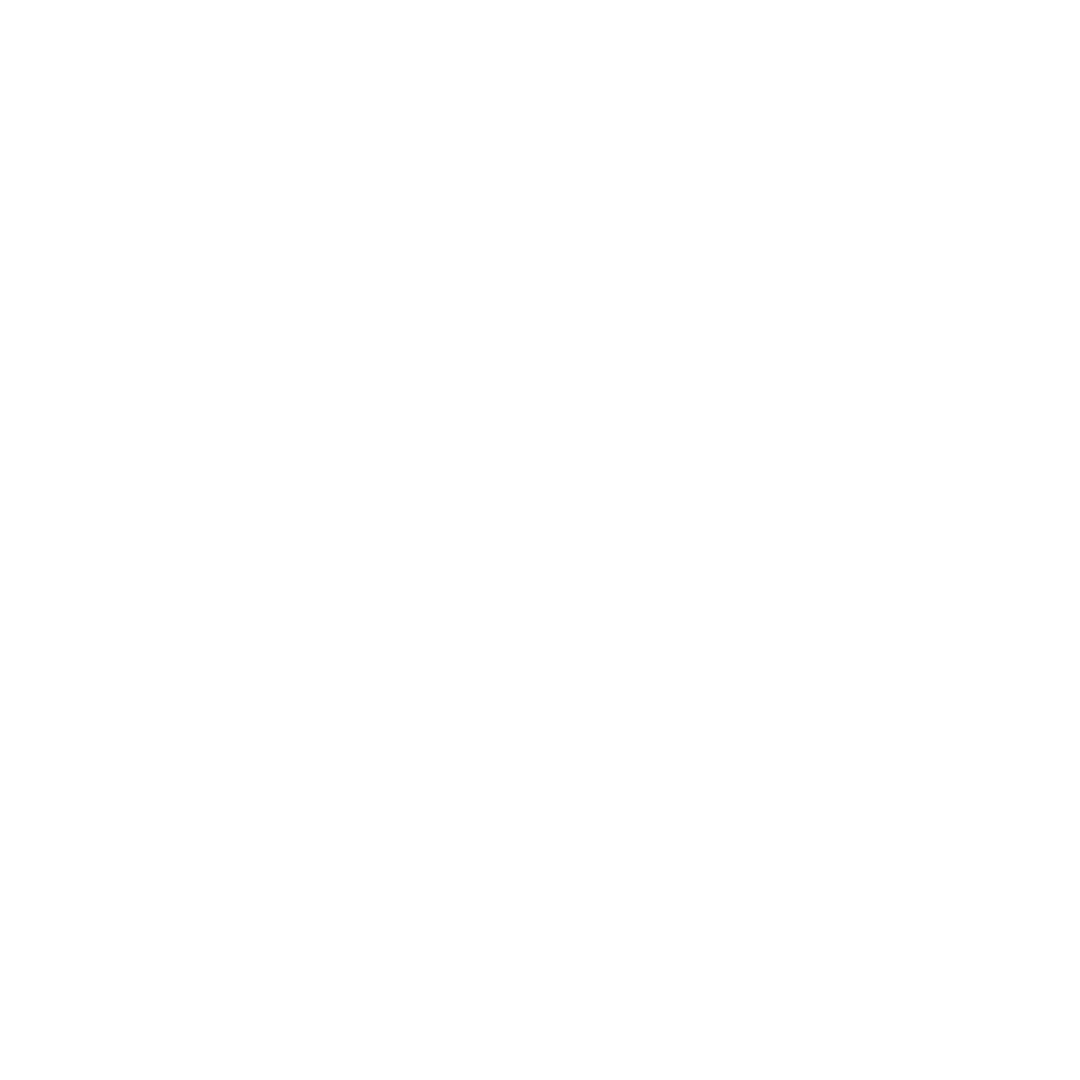 🚫